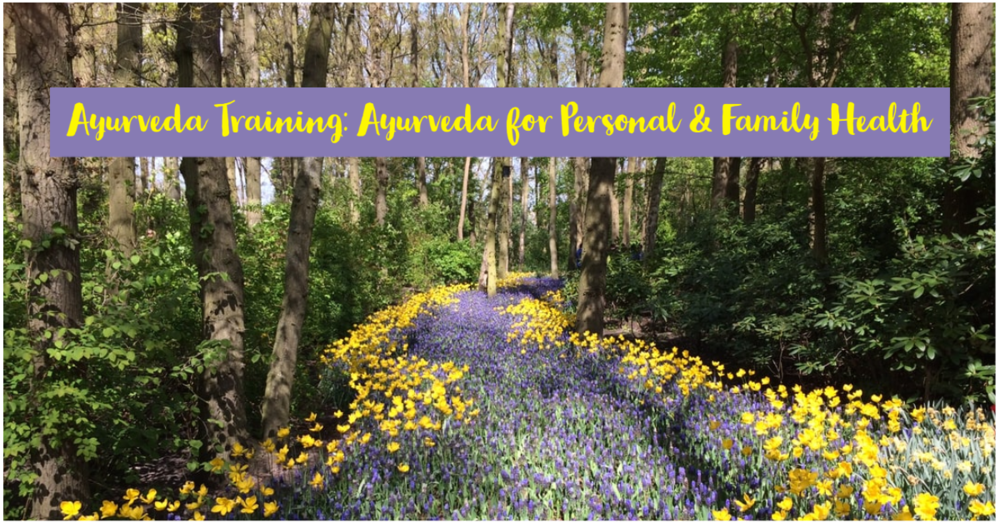 The Ayurveda Training: Using Ayurveda For Personal And Family Health